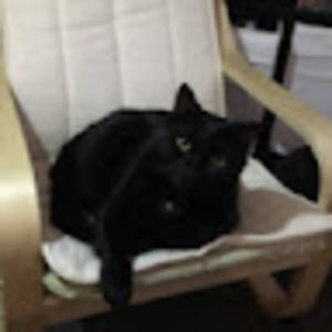 Meet your Posher, Dana